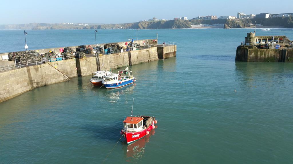 Cliff House Bed & Breakfast New Quay Dış mekan fotoğraf